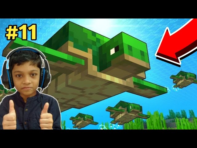 I FOUND SO MANY TURTLES AND TAMED THEM | MINECRAFT GAMEPLAY #11