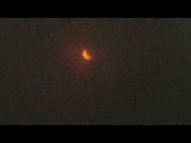 Eclipse in NYC - April 8th, 2024 - 3:25pm 90% Totality