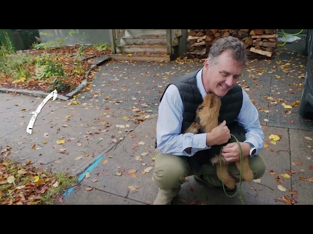 A Dogs Life S1E12 Imprinting