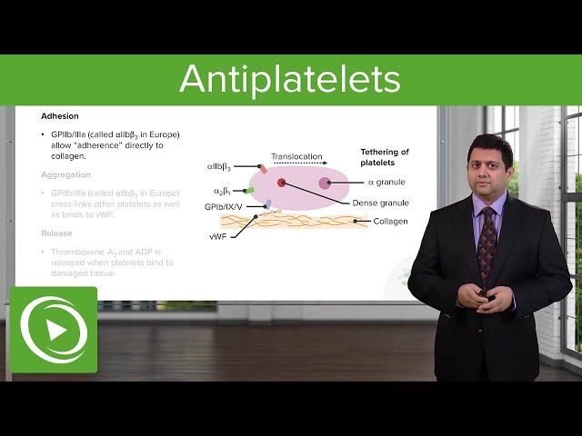 Antiplatelets – Pharmacology of Blood Coagulation | Lecturio