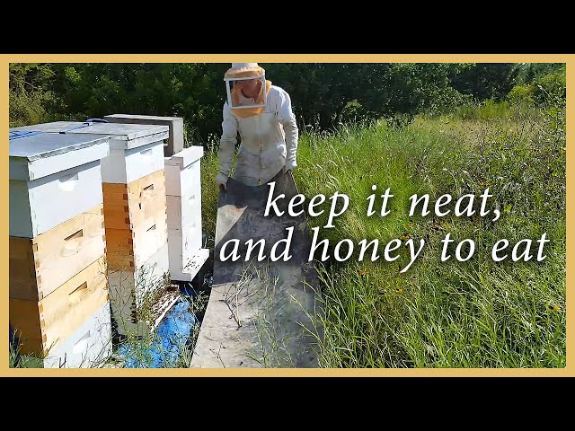 Bee Yard Maintenance & Extracting Honey - GSB S2 E8