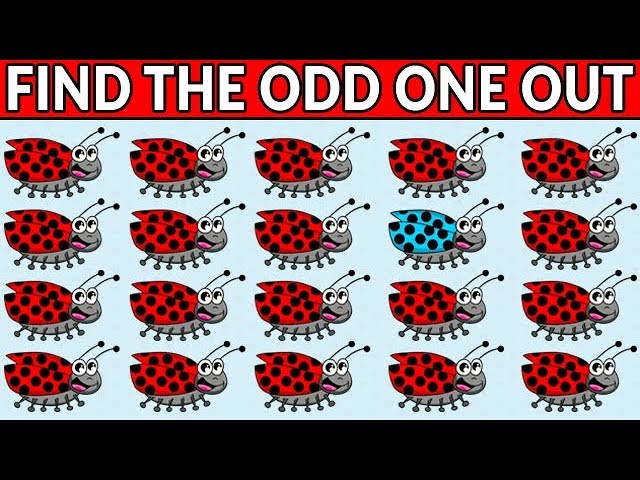Find the Odd One Out - Cute Bugs Brain Games Challenge