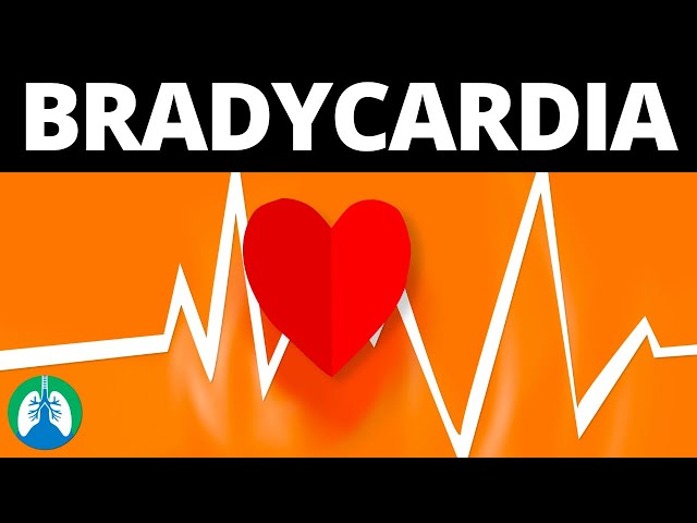 Bradycardia (Medical Definition) | Quick Explainer Video
