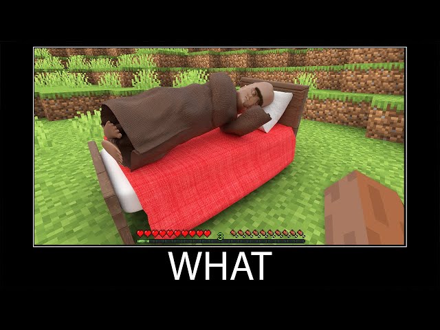 Minecraft wait what meme part 293 realistic minecraft Bed