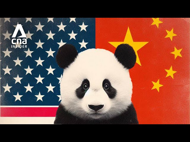 US-China Rivalry: Why America Is Losing Pandas - But It Won’t Be Forever