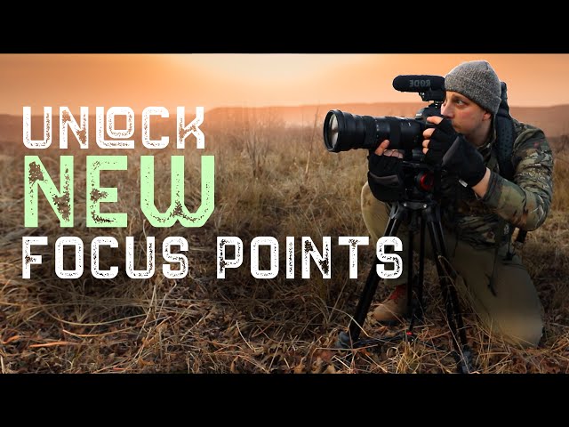 Focus FASTER With This Wildlife Photography Tip!