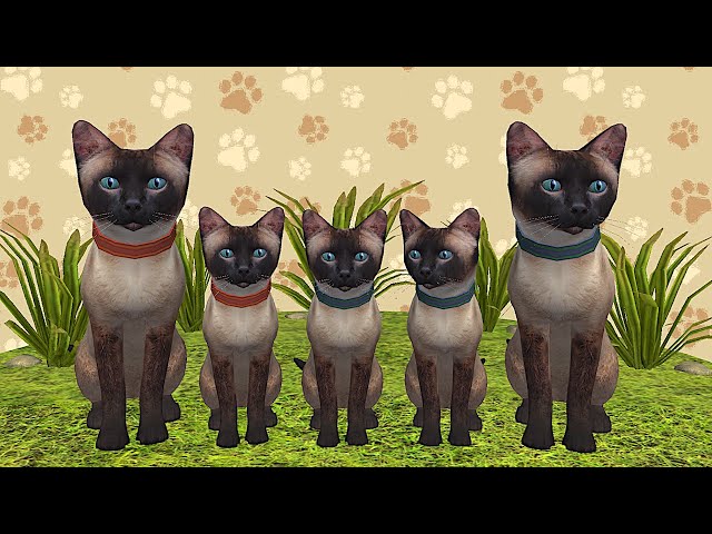 Little Cat Simulator : Kitties Family NEW Baby Adventure Games iOS - Play Fun Cute Kitten #18