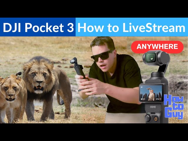 DJI Pocket 3 Live Stream From anywhere