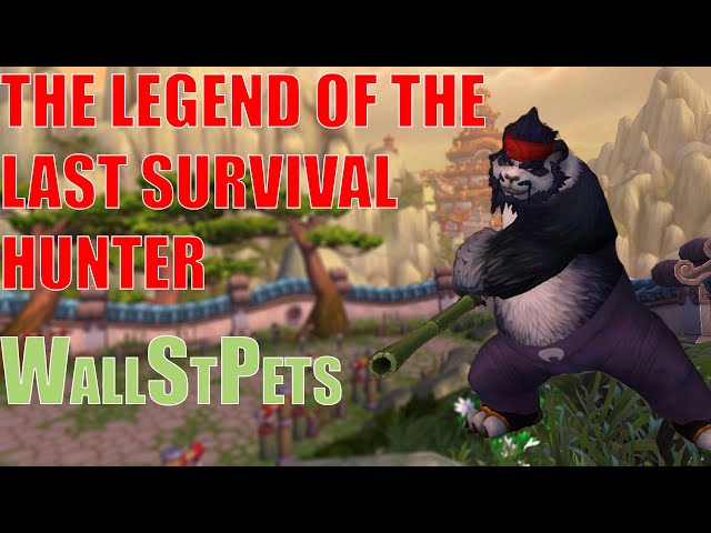 The Legend of the Last Survival Hunter in World of Warcraft Shadowlands. Level 1 to Key Master