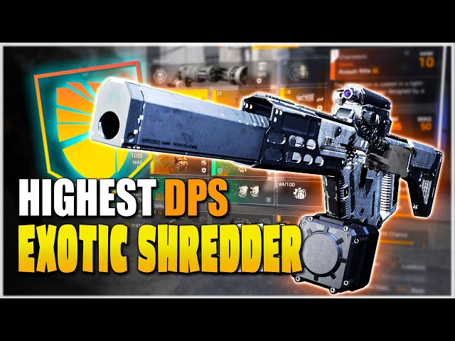 This AR can SHRED ARMOR with 20+ Million DPS - BEST Exotic AR Build in The Division 2