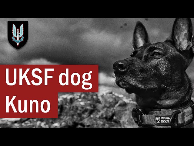 The Actions of UK Special Forces dog: Kuno | April 2019