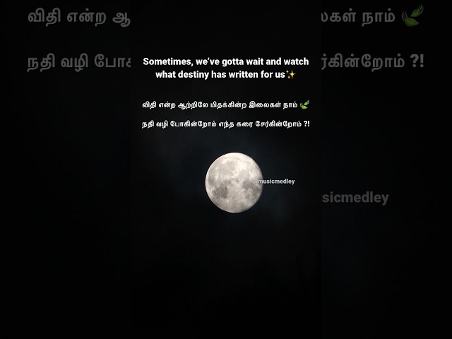 #love #romantic #tamil #tamilwhatsappstatus #tamilwhatsappstatusvideos #moon #lyrics #tamillyrics