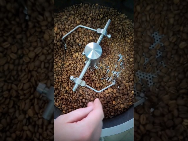 New coffee alert! We test some roasts and do some cupping.