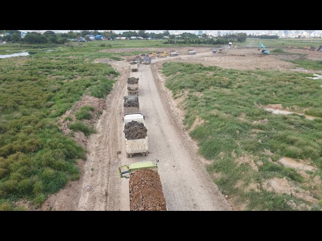 Super Dump truck and SHANTUI Bulldozers pushing wetland in the water | Machine Kh