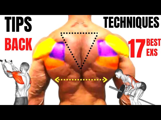 17  BEST BACK T EXERCISES TO GET WIDTH  AND THICKNESS BACK FAST / MUSCULATION DOS  RÉSULTAT RAPIDE