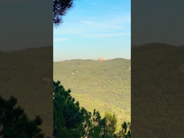 Serra da Sintra Hike With a View #shorts #hiking
