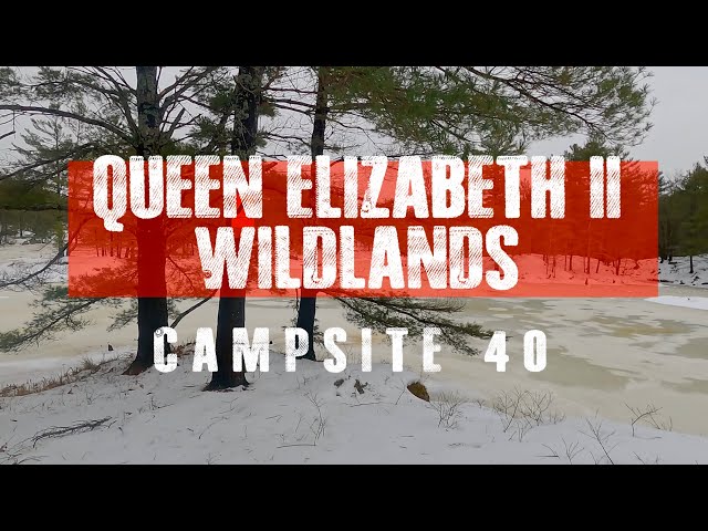 QUEEN ELIZABETH II WILDLANDS - December 2022