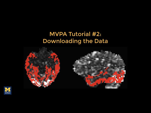 MVPA Tutorial #2: Downloading the Haxby Dataset