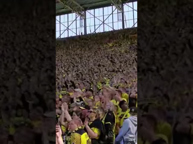 25.000 Dortmund Fans Südtribüne nach der verpassten Deutschen Meisterschaft 2023 vs. Mainz