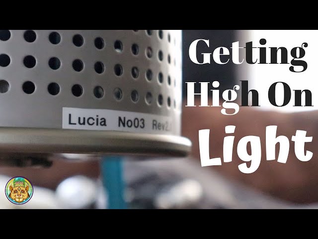 Getting High On Light | Lucia N°03 Light Trip Report