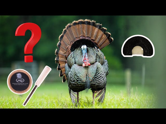 The Most UNDERRATED Turkey Call!