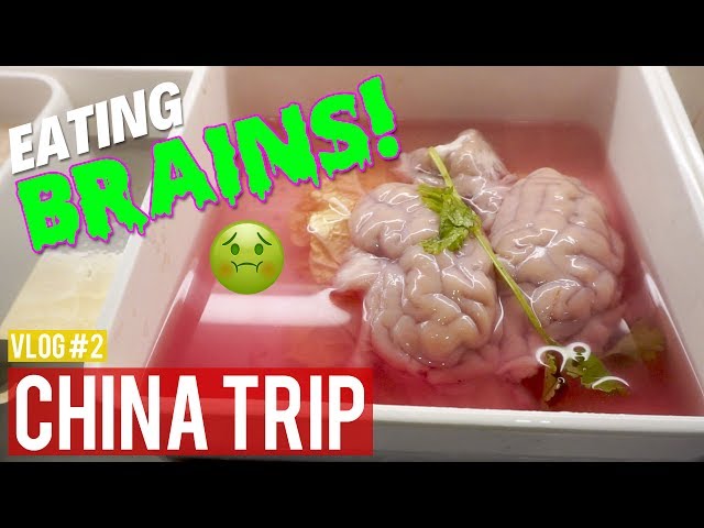 EATING BRAINS?! | China Travel Vlog #2 | Chengdu, Sichuan