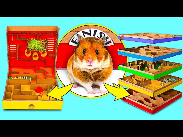 2 DIY Hamster Mazes || 5 level Maze And Pringles Can Maze For Active Hamsters