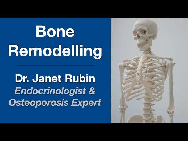Bone Remodelling and Osteoporosis: Endocrinologist Dr. Janet Rubin, MD