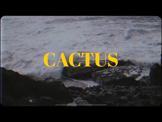 Raste - Cactus (Official video) Prod by Joseph x Jonas