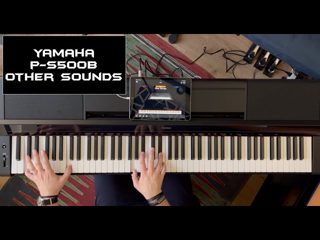Yamaha P-S500B Demo Part. 2 "Other Sounds" | No Talking |