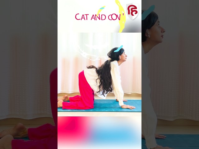 Easy Yoga for People over 50, Senior Citizen | घर के बड़े और बुजुर्गों के लिए योग | Yoga Hindustan
