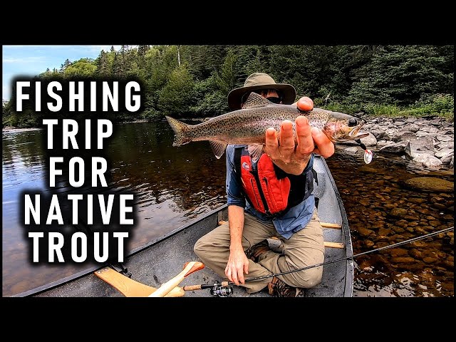 Fishing for Native Trout, 2 Nights Canoe Camping on the River