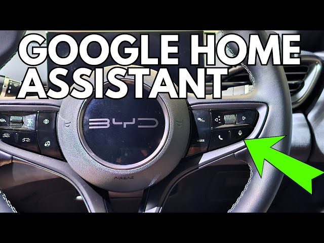 Using Google Assistant in BYD Seal EV to control smart home lights