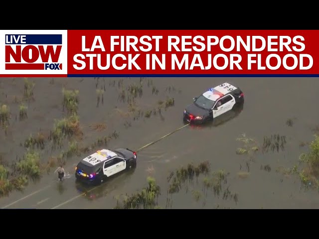 Tropical Storm Hilary: LA officer pulled from flood water |  LiveNOW from FOX