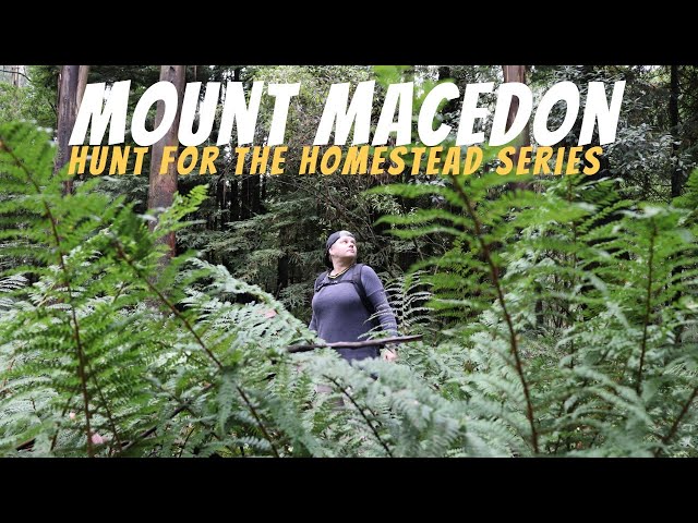 Mount Macedon - Lancefield - Day Hike / Bushwalking - Hunt for the Homestead series