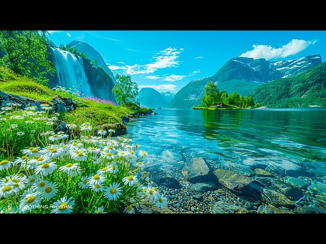 Beautiful Relaxing Music 🌿 Stop Overthinking, Stress Relief Music 🌿 Gentle Music