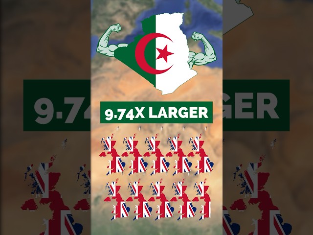 Let's Explore Algeria! 🇩🇿 #shorts