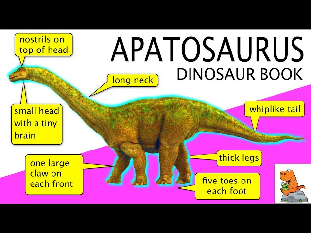 🦖 Dinosaur Book Read Aloud: APATOSAURUS (Little Paleontologist) by Sally Lee