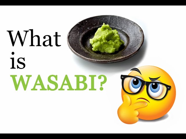 What is Wasabi?
