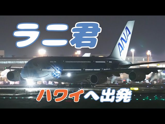 【4K】成田空港 さくらの山公園 全日空 超巨大旅客機 フライング・ホヌ ラニ君 ハワイへ出発