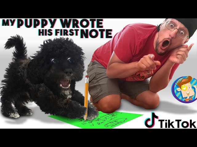 Our Puppy Wrote his First NOTE & our TIK TOK  had a BIG FAIL (FV Family Vlog)