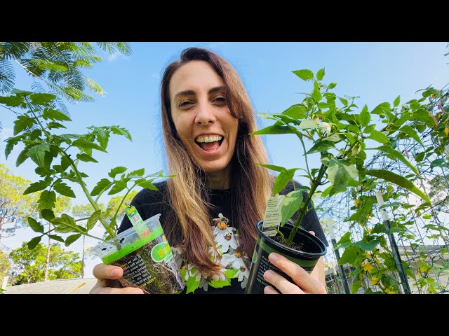 Ready to START?!? | Spring Vegetable Garden Plan With Me!