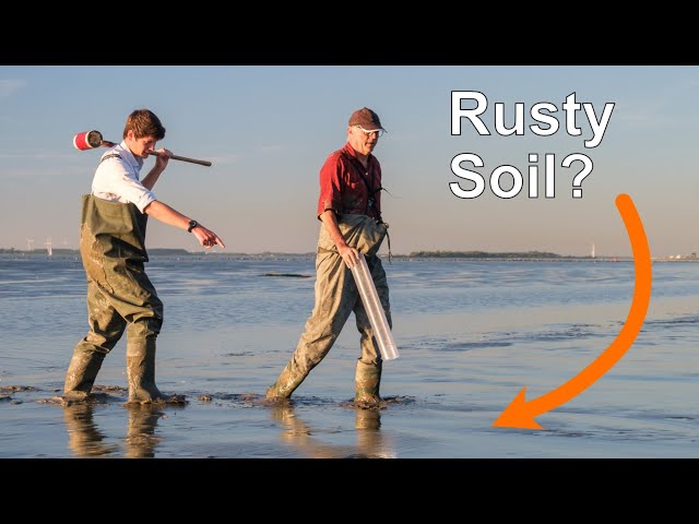 Rust in soils – What happens when microorganisms breathe iron?