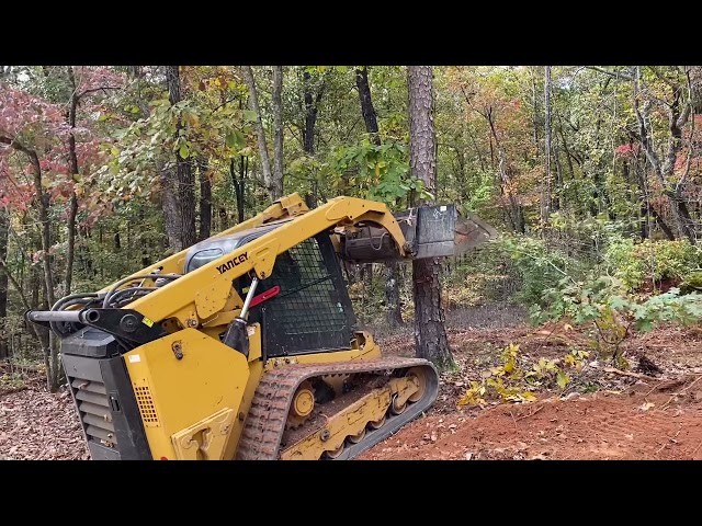 CAT 299D3 uprooting trees