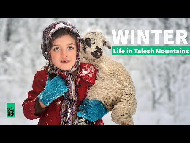 Village life, Winter in Talesh Mountains زندگی در زمستان روستای ییلاقی تالش