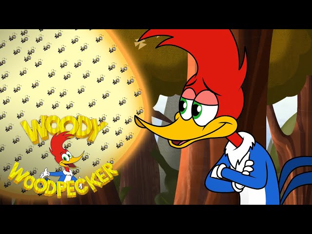 Angry Bees | Full Episode | Woody Woodpecker