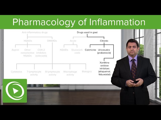 Pharmacology of Inflammation – Pharmacology | Lecturio
