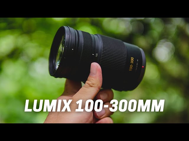Amazing Compact & Sharp Super Telephoto Lens On A Budget