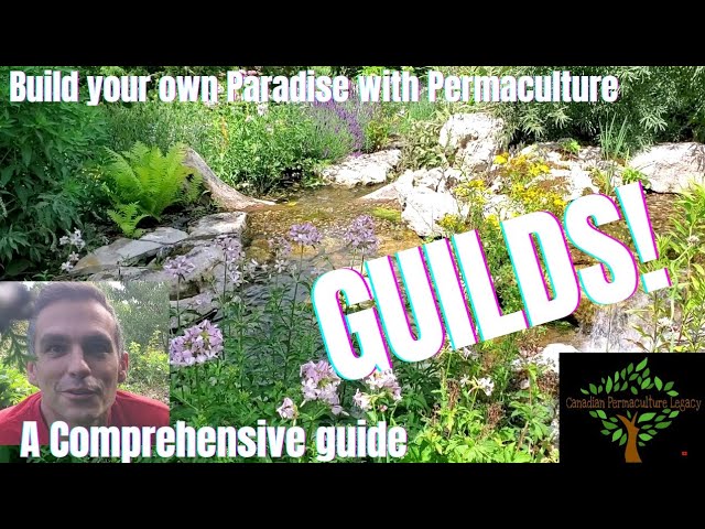 A comprehensive guide to Permaculture Guilds