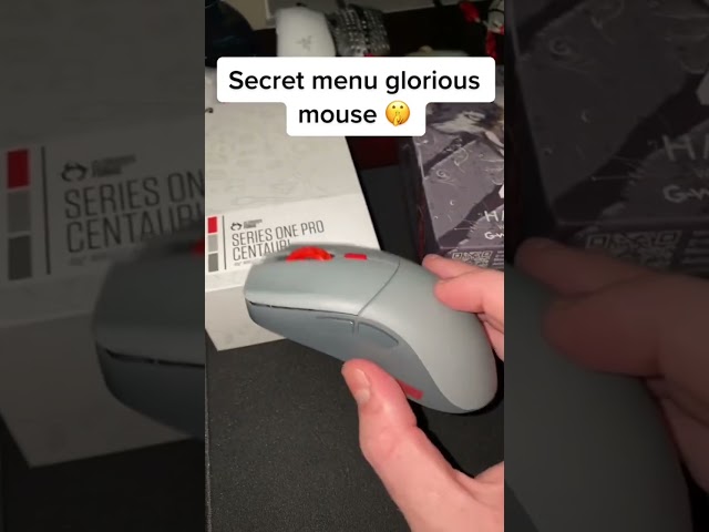 Glorious Series One PRO Mouse (secret)